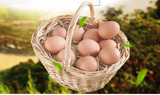 土鸡蛋正宗农家天然散养新鲜农村笨鸡蛋柴鸡蛋草鸡蛋40枚包邮