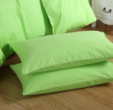 30X50X40X60X48X120X150纯色全棉儿童学生单双人枕套抱枕套单只