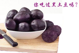 内蒙原生态种植黑土豆 黑金刚土豆 紫土豆新鲜上市吃出健康500g
