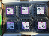 智利进口蓝莓 125g/箱  整箱12盒  脆甜好吃  送礼佳品 北京包邮