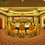 华德地毯 hd 酒店大厅 大堂 餐厅 尼龙印花地毯 可定制其他图案
