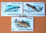 外国邮票 罗马尼亚邮票1992年水产资源―鱼类 3枚 RD16062