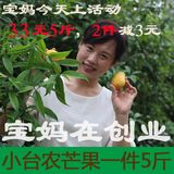 【天天特价】芒果新鲜水果台农芒金煌芒腰芒小台农海南台农芒5斤