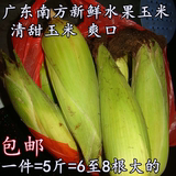 广东农家现摘水果玉米新鲜 水果玉米即食甜玉米新鲜玉米5斤装包邮