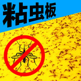 娃娃家家 双面黄板进口胶 粘虫板 诱杀蚜虫 蚊子 苍蝇 杀虫板