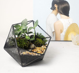 苔藓微景观生态瓶玻璃植物创意办公桌面DIY绿植龙猫礼品盆栽摆件