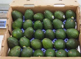 【省内包邮】墨西哥进口牛油果鳄梨果新鲜水果整箱30个果约重12斤