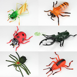 仿真特大号塑胶昆虫甲虫蜜蜂蜘蛛蝗虫类模型玩具儿童舞台教具整蛊