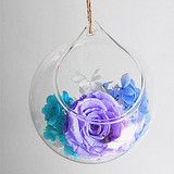 创意悬挂式玻璃花瓶 球形花瓶 透明装饰水培花器 家居婚庆装饰