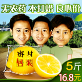 兄弟采摘安岳黄柠檬5斤装 新鲜水果非丑果 优质多汁 无催熟无打蜡