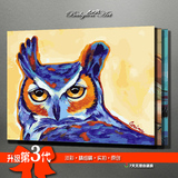 diy数字油画抽象猫头鹰 客厅动物动漫定制大幅手绘填色画装饰画