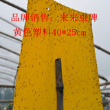 粘虫板黄色塑料40*25cm粘蚜虫板诱捕白粉虱防灭果实蝇蚊子诱虫板