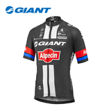 GIANT-Alpecin捷安特-阿佩辛车队标准版骑行服夏季短袖训练车衣