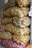 土豆种子 荷兰15马铃薯种子批发 黄心可食用 散装10斤起售不包邮