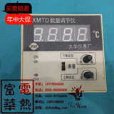 PT1000 xmtd-2201 K 温控仪表上下限 E温度控制器开关0.1高精度