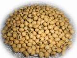 河南农家自种可发芽黄豆 豆浆原料天然绿色有机非转基因土黄豆