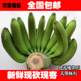 新鲜香蕉banana  热带应季时令水果 孕妇食品农家土特产 全国包邮