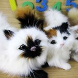 仿真猫咪会叫小猫动物模型创意礼物家居装饰品毛绒玩具玩偶公仔