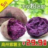 高州特产番薯 紫薯地瓜 新鲜紫红薯新鲜蔬菜紫薯 农家自产5斤装