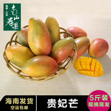 海南芒果 新鲜水果贵妃芒三亚特产红金龙芒果 生鲜水果 5斤 包邮