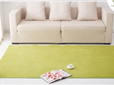 加厚丝毛方形地毯客厅卧室茶几吊篮地垫瑜伽健身电脑椅垫子草绿色
