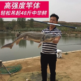 龙纹鲤 鱼竿 手竿日本进口碳素 钓竿 台钓竿 钓鱼竿 28调特价