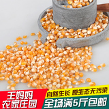 新货爆裂小玉米爆米花玉米粒 特级小玉米粒 爆米花专用原料  250g