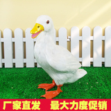 仿真羽毛动物鸭子鹅标本玩具模型大白鹅鸭子超市田园摆件家禽鹅鸭