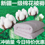 定做手工新疆棉花被子春秋儿童幼儿园午休棉被加厚冬被芯床褥褥子