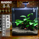 haqos喜高 生态创意鱼缸小型迷你造景水草缸金鱼缸玻璃水族箱新品