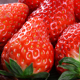 玖玖农场丹东99奶油草莓红颜草莓新鲜水果大果至尊玉900g