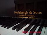 德国 斯坦伯格 Sterinborgh&sons皇家二号 KU-230型钢琴：13800元