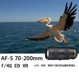 尼康AF-S 70-200mm f/4G ED VR 尼康70-200 f4防抖镜头 小小竹炮