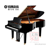 YAMAHA雅马哈 C6X 全新三角钢琴  【温州文海琴行】