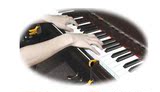 Flanger升级版钢琴手型练习器 练习手腕矫正器/校正器/训练器