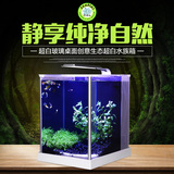 小型鱼缸造景 真水草套餐阿诺比超白玻璃桌面创意海水生态水族箱