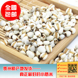 贵州兴仁特级优质农家薏米新货杂粮散装500g红豆小薏仁米苡仁包邮