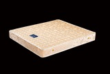 经济型特价硬椰棕弹簧床垫1.2 1.5 1.8米单双人席梦思 广东包邮
