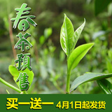 预售 2016年布朗山早春古树茶 80克/份 散茶 4月1日开始发货