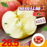 十洲记 烟台新鲜红富士苹果水果 栖霞红富士苹果 新鲜苹果5斤包邮