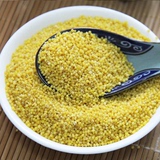 黄小米 有机小黄米 2015年新米 月子米 农家杂粮食 熬小米粥 500g