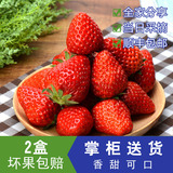 【优霸】新鲜草莓红霞 奶油草莓 2盒 900g 顺丰上海红颜 新鲜水果
