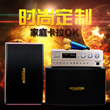 HYUNDAI/现代 D10 KTV音响套装 10寸双磁喇叭家庭卡拉OK歌组合