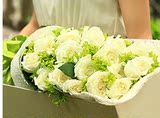 19朵白色玫瑰鲜花 全国速递 苏州市吴江常熟昆山张家港 同城配送