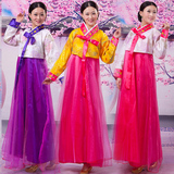 新款韩服朝鲜服演出服大长今传统韩式少数民族舞蹈演出服古装女款