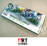 英国原装进口温莎牛顿 Winton 温顿油画颜料6/10色绘画套装 包邮