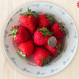 新鲜奶油草莓水果红颜日本红霞草莓果园现摘现发顺丰包邮2斤装