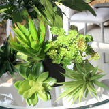 仿真多肉植物人造 假绿植绿色室内装饰 塑料迷你小花头植物 大号