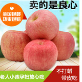 洛川红富士苹果新鲜有机水果富士苹果10斤包邮陕西比山东冰糖心