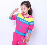 韩版女童装春秋装2015新款儿童套装男大童小孩衣服卫衣长袖两件套